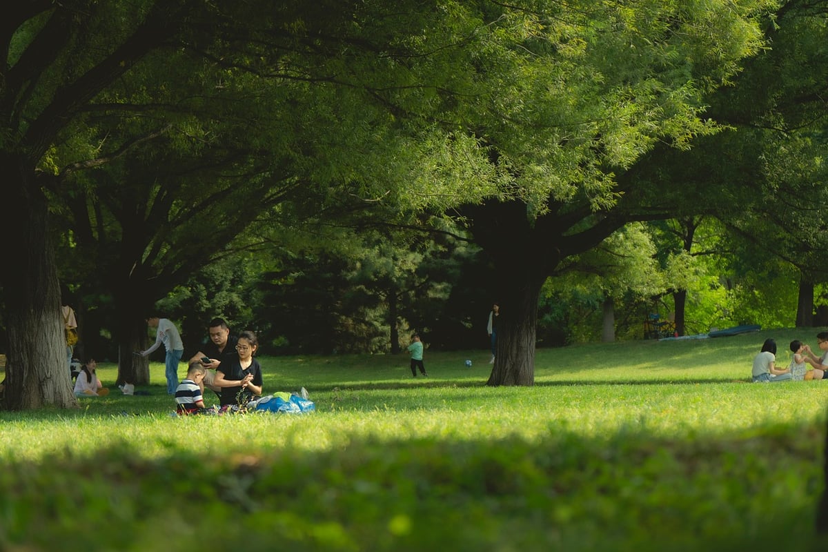 Quels parcs et activités sont parfaits pour des vacances en famille ?